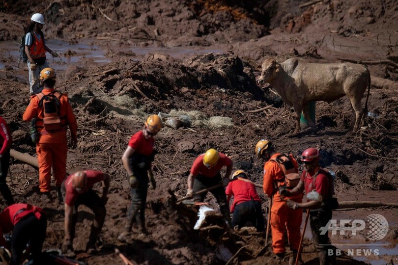 ブラジル鉱山ダム決壊、死者84人に
