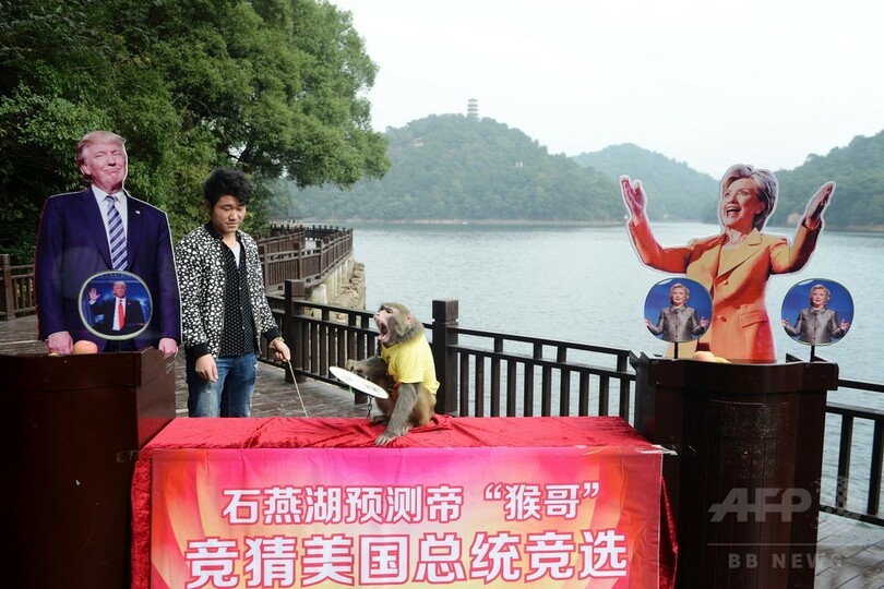 サルの予言はトランプ氏勝利、米大統領選で占い 中国