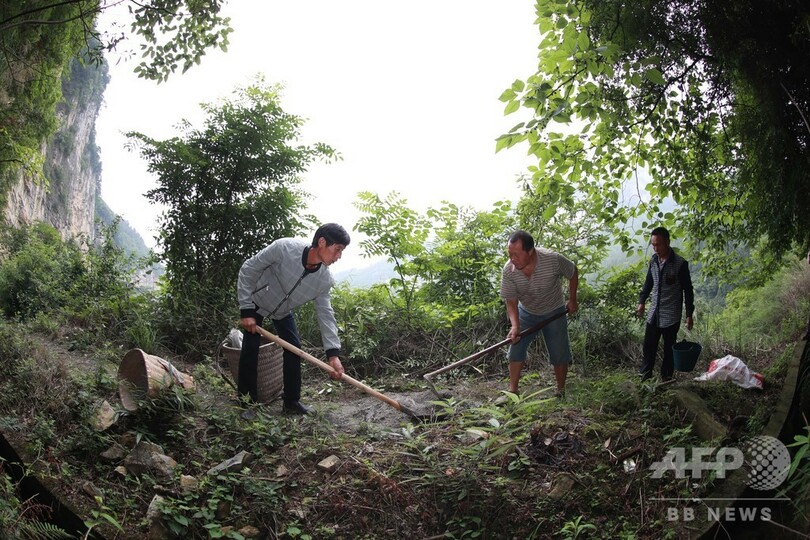 断崖の用水路の守り人 中国・貴州