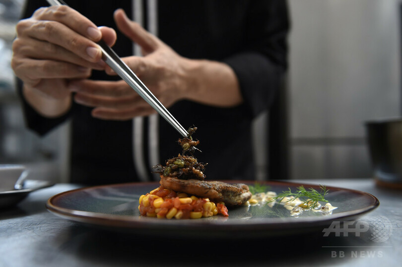 タイの食通が注目、高級店のメニューにはい上がってきた虫料理