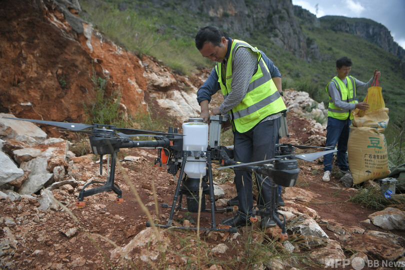 中国・雲南でドローンを使った「空中植林」 荒れた山岳地帯に苗木が芽吹く